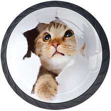 Lovely Cat in Wallpaper Hole Pomelli per Porta Set di 4 Pomelli per Mobili Manopole per Cassetti Cucina Armadio Vetro