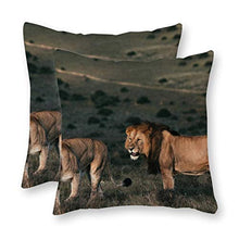 happygoluck1y - Set di 2 federe per cuscini in tela, motivo leone su prato verde, 45 x 45 cm, per cuscini in tela