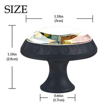 Camera in ala 4 PCS Pomelli per Porta, Pomolo per Mobile, Pomelli per Mobili con Viti, Maniglia per Armadietto, Pomelli per Porta, Pomelli per Cassetti per Porta, Armadio, Cassetto e Credenza