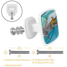 Tartaruga balena 4 PCS Pomelli per Porta, Pomolo per Mobile, Pomelli per Mobili con Viti, Maniglia per Armadietto, Pomelli per Porta, Pomelli per Cassetti per Porta, Armadio, Cassetto e Credenza