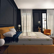 Baldiflex Emporio Materasso Matrimoniale Memory Plus Top 4 Strati 170 x 190 cm Alto 25 cm - Rivestimento Sfoderabile Aloe Vera Cus. Saponetta incl.