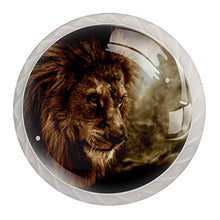 Maniglie per cassetti Manopole per cassetti Manopole rotonde Confezione da 4 per armadietto, cassetti, cassettiere, cassettiere ecc - Leone africano