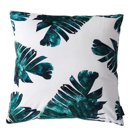 XMZFQ Fodere per Cuscini Decorativi, Stampa Floreale Botanica, Fodera per Cuscino in Velluto Morbido con Cerniera Invisibile, Cuscino Lombare per Sedia da Ufficio, 45 * 45 cm, Set di 2,H