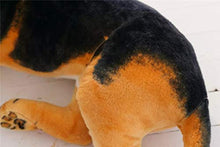 Yfkjh Big Wolf Dog Peluche Bambola Simulazione Cane Pastore Regalo di Compleanno GreatWolfdog60cm