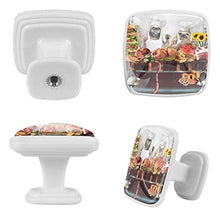 Cucina pigra in cucina 4 PCS Pomelli per Porta, Pomolo per Mobile, Pomelli per Mobili con Viti, Maniglia per Armadietto, Pomelli per Porta, Pomelli per Cassetti per Porta, Armadio, Cassetto e Credenza