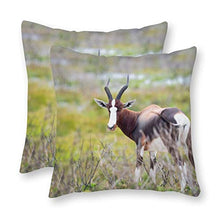 Happygoluck1y - Set di 2 federe per cuscini in tela, motivo Antelope su prato e prato bianco, 40 x 45 cm, per cuscini in tela