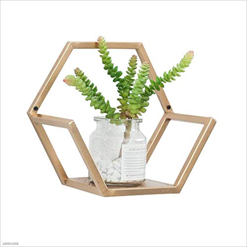 Semplicità Elegante Scaffale a Muro Scaffali Galleggianti Scaffali Espositori in Metallo Supporto per Fiori Scaffale per Libri Balcone Soggiorno, Personalizzabile, 2 Colori, HJJ, Oro, 30x15x26cm