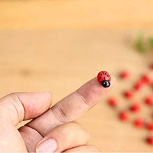 xiaofeng214 100pcs / Lot Mini Cabochon Coccinella Fairy Garden Miniature Garden Ornamento Decorazione Micro Paesaggio Bonsai Statuetta in Resina Crafts (Size : 100pcs)