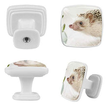 Pianta animale 4 PCS Pomelli per Porta, Pomolo per Mobile, Pomelli per Mobili con Viti, Maniglia per Armadietto, Pomelli per Porta, Pomelli per Cassetti per Porta, Armadio, Cassetto e Credenza