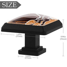 Donne Africa 3 PCS Pomelli per Porta, Pomolo per Mobile, Pomelli per Mobili con Viti, Maniglia per Armadietto, Pomelli per Porta, Pomelli per Cassetti per Porta, Armadio, Cassetto e Credenza