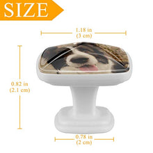 Border collie (2) 4 PCS Pomelli per Porta, Pomolo per Mobile, Pomelli per Mobili con Viti, Maniglia per Armadietto, Pomelli per Porta, Pomelli per Cassetti per Porta, Armadio, Cassetto e Credenza