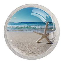Stella marina del sole 4 PCS Pomelli per Porta, Pomolo per Mobile, Pomelli per Mobili con Viti, Maniglia per Armadietto, Pomelli per Porta, Pomelli per Cassetti per Porta, Armadio, Cassetto e Credenza
