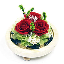 QYMX Regali di Natale ， Copertura in Vetro Everlasting Rose Flower Wife Gift for Lover Valentine's Day Christmas