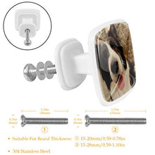 Border collie (2) 4 PCS Pomelli per Porta, Pomolo per Mobile, Pomelli per Mobili con Viti, Maniglia per Armadietto, Pomelli per Porta, Pomelli per Cassetti per Porta, Armadio, Cassetto e Credenza