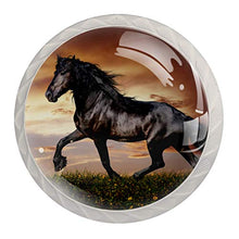 Prato del cavallo nero 4 PCS Pomelli per Porta, Pomolo per Mobile, Pomelli per Mobili con Viti, Maniglia per Armadietto, Pomelli per Porta, Pomelli per Cassetti per Porta, Armadio, Cassetto e Credenza