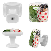 Set di 4 maniglie rotonde per armadio da cucina, credenza, cassettiera, cassettiera, con viti, per cucina, comò, armadietto, bagno, armadio e cane animale
