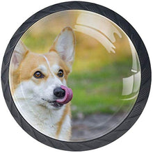 Welsh Corgi Dog Cute Sight Outdoor Pomelli per Porta Set di 4 Pomelli per Mobili Manopole per Cassetti Cucina Armadio Vetro