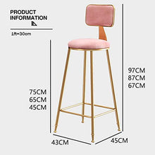 LWW Sgabelli, Bar Sgabelli Chair On-Trend Kitchen And Breakfast Sgabello con Schienale Tessuto in Velluto Rosa Europea Moderna,65 cm,65 cm