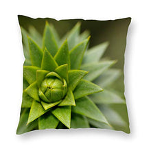 Happygoluck1y - Federa per cuscino con piante grasse e piante grasse, 45 x 45 cm, per divano, adolescenti, ragazze, idea regalo