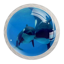 Balena assassina 4 PCS Pomelli per Porta, Pomolo per Mobile, Pomelli per Mobili con Viti, Maniglia per Armadietto, Pomelli per Porta, Pomelli per Cassetti per Porta, Armadio, Cassetto e Credenza