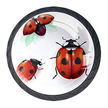 coccinella 4 PCS Pomelli per Porta, Pomolo per Mobile, Pomelli per Mobili con Viti, Maniglia per Armadietto, Pomelli per Porta, Pomelli per Cassetti per Porta, Armadio, Cassetto e Credenza