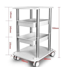 DHR- 4-tier apparecchiatura di bellezza di rotolamento Carrelli, Parrucchiere Salone di carrello su ruote, cucina deposito multifunzionale carrello, carico di 50kg Bagagli servizio di bellezza trolley