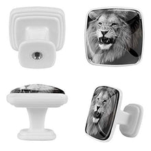Leone in bianco e nero 4 PCS Pomelli per Porta, Pomolo per Mobile, Pomelli per Mobili con Viti, Maniglia per Armadietto, Pomelli per Porta, Pomelli per Cassetti per Porta, Armadio, Cassetto e Credenza