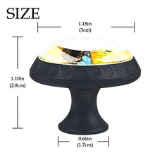 Set di 4 maniglie rotonde per armadio da cucina, credenza, cassettiera, cassettiera, con viti, per cucina, comò, armadietto, bagno, guardaroba, girasole, farfalle