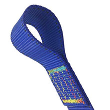 Aoneky 2 Cinghie Altalena 50 cm con Moschettone, Carico Massimo 220KG - Cinghia per Amaca, Sedile Sospeso, Fissaggio per Sacco da Boxe