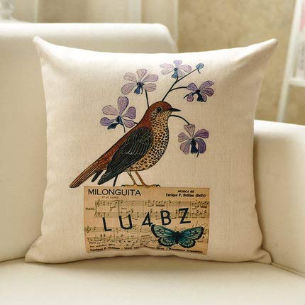 XMZFQ Cuscino da tiro, Imbottitura in Cotone PP, Stampa Fiori e Uccelli, splendido e Bellissimo Cuscino Decorativo per Auto da Ufficio con Divano Letto, 45 * 45 cm, Set di 2,E