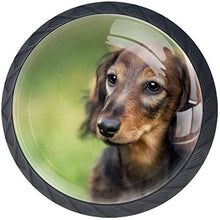 Cucciolo Di Cane Occhi Tristi Marrone Pomelli per Porta Set di 4 Pomelli per Mobili Manopole per Cassetti Cucina Armadio Vetro