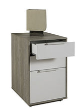 Comodino Alto Omnia con Due cassetti Struttura Rovere Gessato e Finitura Frontale Bianco Laccato