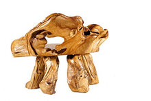Windalf Spettacolare Panchina con gufo LIZY, 102 cm, rustica, piccola panca in legno di radice