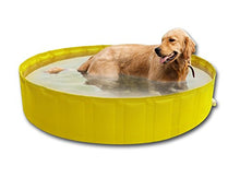 New Plast 0102 - My Dog Pool Piscina per Cani, 140 x 30 cm (ØxH)