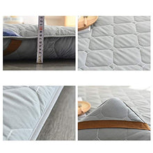 PLOLLD Tappetino Materasso futon Queen Size Standard Dimensione Dorm, Cappello a Cilindro Tradizionale Futon Tatami Tappetino (Color : Gray, Size : 150x200cm(59x79inch))