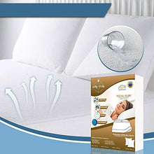 LILLY BELLY - Coprimaterasso + cuscini x2 impermeabile cotone OEKOTEX Made in Europa antiacaro antibatterico traspirante tecnologia biome (140 x 190/200)