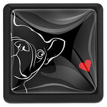 Bulldog 3 PCS Pomelli per Porta, Pomolo per Mobile, Pomelli per Mobili con Viti, Maniglia per Armadietto, Pomelli per Porta, Pomelli per Cassetti per Porta, Armadio, Cassetto e Credenza