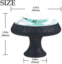 Zebra Pomelli per Porta Set di 4 Pomelli per Mobili Manopole per Cassetti Cucina Armadio Vetro