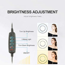 AFANG Luce Videoconferenza, Luce LED Video Light Clip Kit Luci Conferenza Luminosità Regolabile, Riunioni Lavoro Remoto Streaming Live Laptop Telefono Streaming Live Fill Light