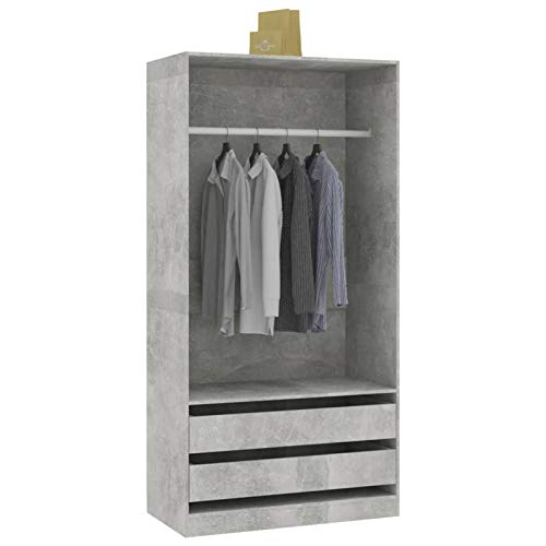 Irfora Armadio, Armadio per Ingresso, con 2 cassetti, in Truciolato 100x50x200 cm Grigio Cemento