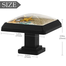 stella marina 3 PCS Pomelli per Porta, Pomolo per Mobile, Pomelli per Mobili con Viti, Maniglia per Armadietto, Pomelli per Porta, Pomelli per Cassetti per Porta, Armadio, Cassetto e Credenza