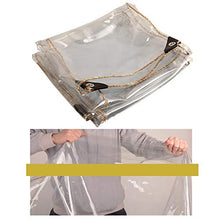 YUDEYU 450g/m² Copertura per Piante Telo Trasparente-Telo in plastica PVC Impermeabile con Occhielli, Coprimaterasso per Piante Impermeabile (Color : Chiaro, Size : 0.9mx1.4m)