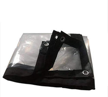 ETNLT-FCZ Telo Trasparente con Occhielli, Impermeabile Clear Tarpaulin Garden Tarp Foglio Pellicola Panno PE W/Eyelets Flower Plant Sheet Covers Pieve (Color : Transparent, Size : 2x3m)