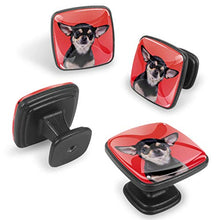 Bellissimo cane chihuahua Pomelli per Porta Set di 4 Pomelli per Mobili Manopole per Cassetti Cucina Armadio Vetro