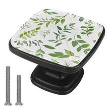 Diversi alberi di eucalipto palm fern Pomelli per Porta Set di 4 Pomelli per Mobili Manopole per Cassetti Cucina Armadio Vetro