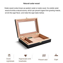 XYF Humidor in Cedro Artigianale, Scatola Porta Sigari Umidificatore, con Igrometro E Umidificatore, Doppio Vano Portaoggetti per Finestra in Vetro Verniciato Pianoforte, Tenendo 25 Sigari