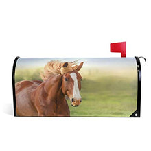 Bella cassetta postale con animali a cavallo rosso coprono magnetico grande cassetta postale avvolge giardino cortile decorazione casa dimensioni oversize 64,8 cm x 53,3 cm