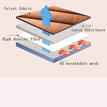 Spesso flanella Materasso Materasso in lattice, gomma piuma di memoria rimbalzo lento Tatami, adatto for la famiglia copriletto letto matrimoniale king size, Lana Inverno corallo del panno di spessore