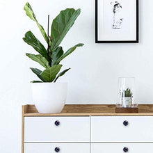 Cantante jazz afroamericano Pomelli per Porta Set di 4 Pomelli per Mobili Manopole per Cassetti Cucina Armadio Vetro