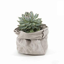Sacchetti di immagazzinaggio, sacchetti di carta Kraft, sacchetti di immagazzinaggio di verdure, vaso di piante, vaso di fiori, cestino di fiori, sacchetti di immagazzinaggio lavabili